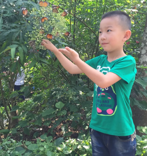 西双版 纳双飞游