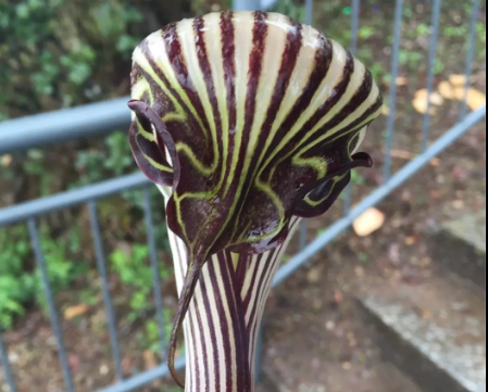 大理yabo亚博体育苹果下载香格里拉亚博体育下载网址