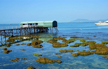 蜈支洲岛+夜游三亚鹿回头风景区+大小东海+三